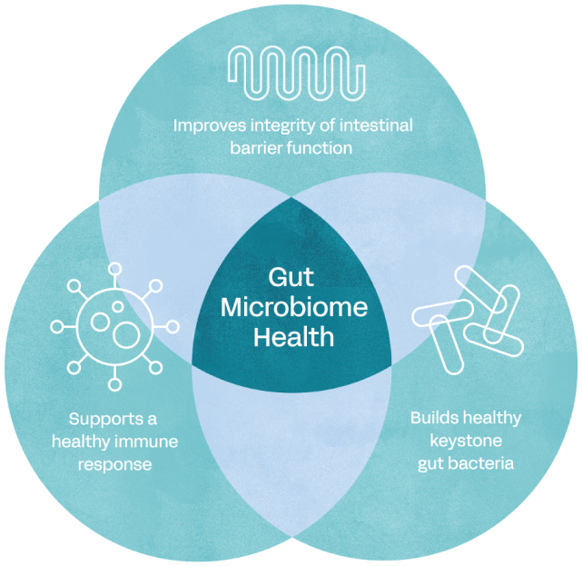 The three mechanisms of action of Keystone Postbiotic