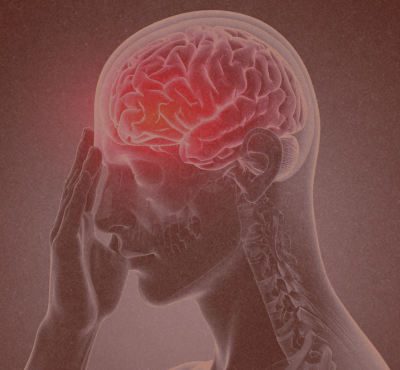 Beyond Gut Health: Psychobiotics and the Gut-Brain Axis