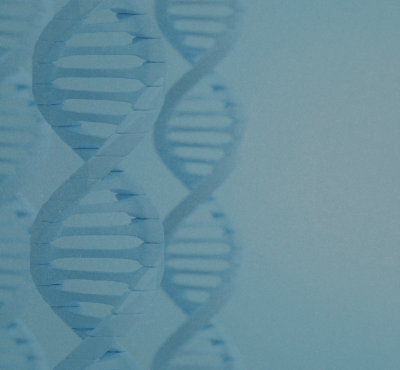 bacterial genetic potential
