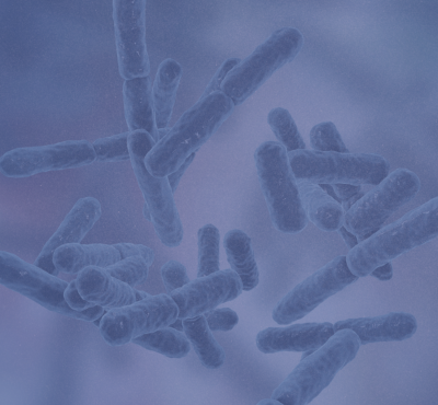 What is a postbiotic, and what makes Keystone Postbiotic different? 