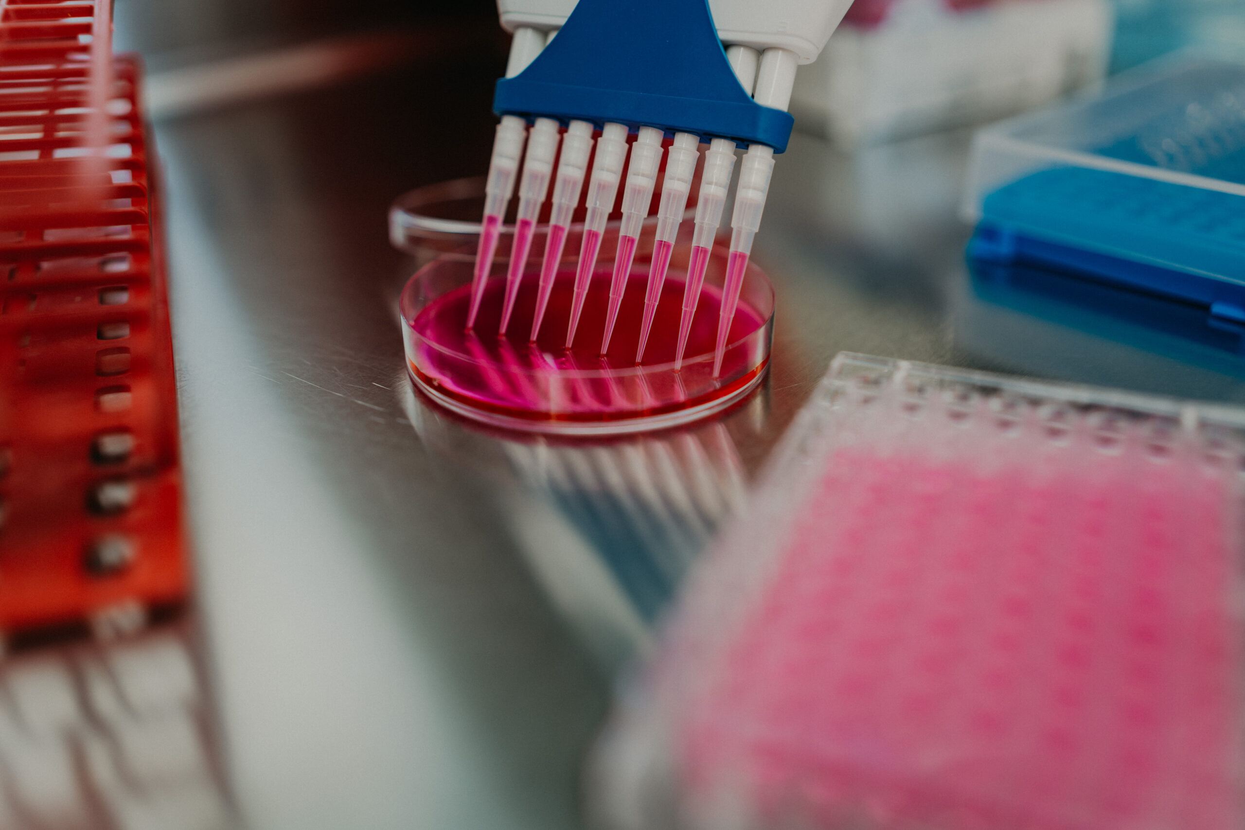 Verb Biotics Solutions