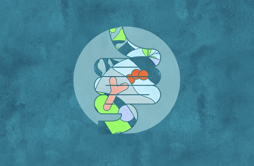 Verb Biotics Solution Icon Solutions