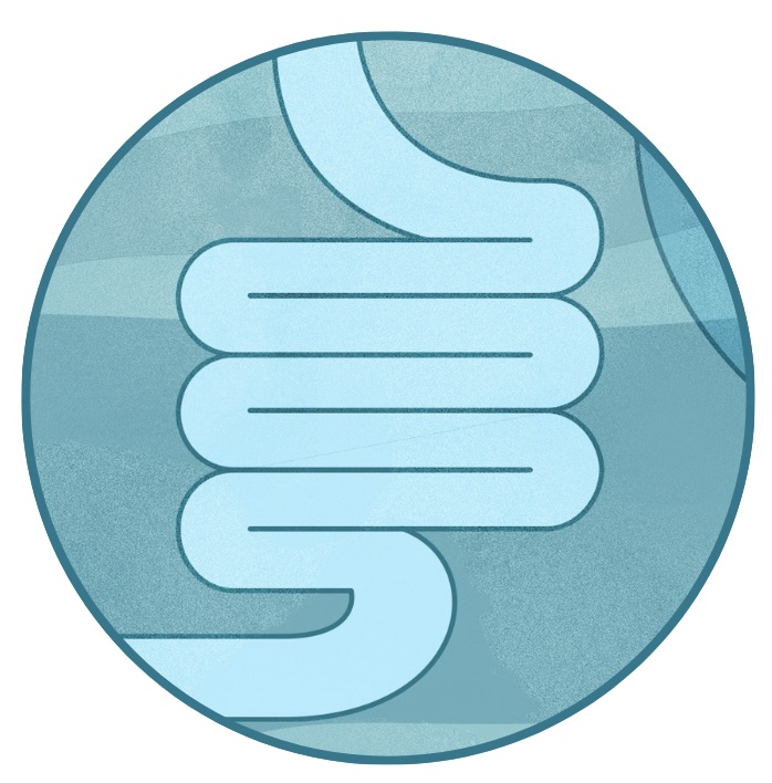 Microbiome Circle