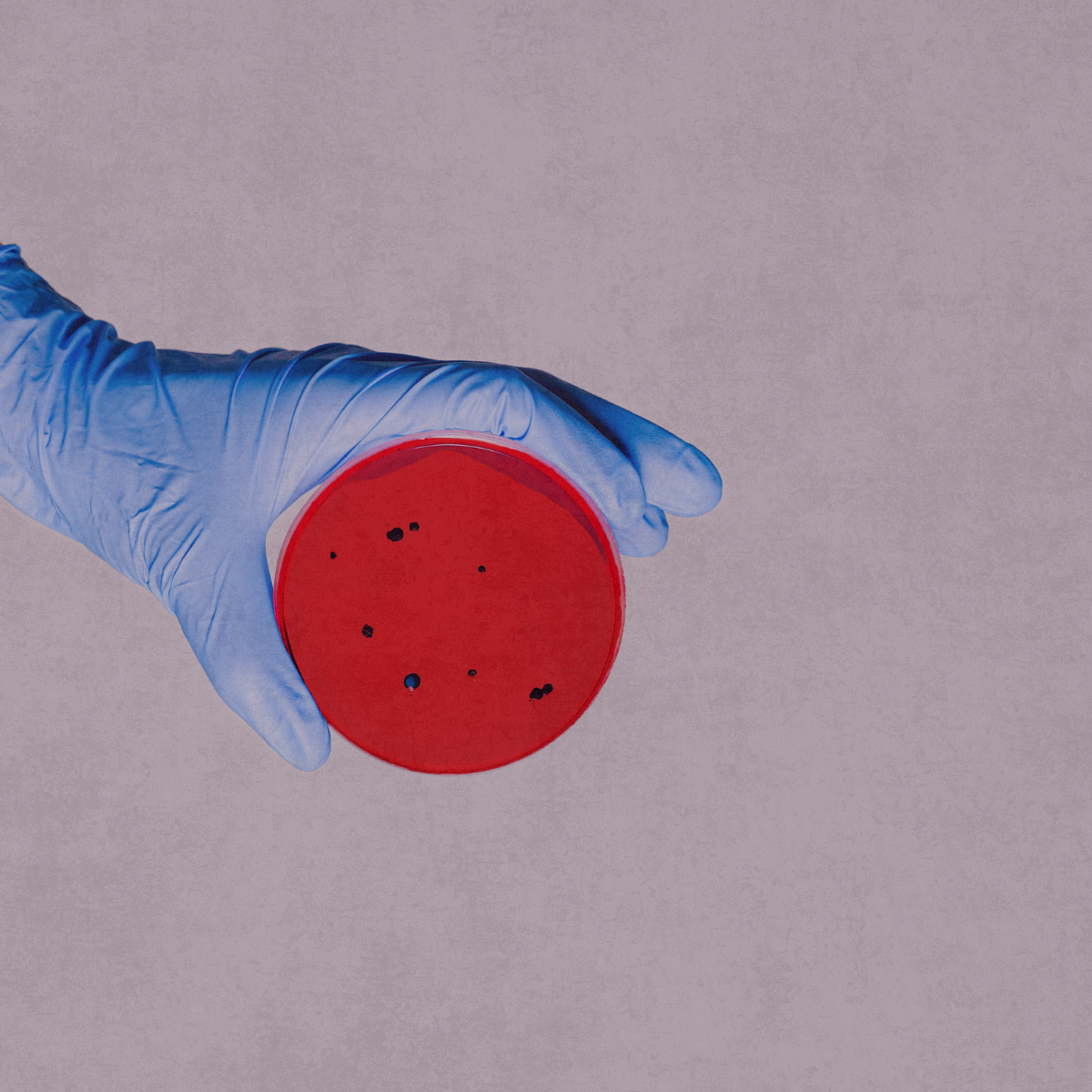 CFU vs AFU: What Probiotic Potency Really Means